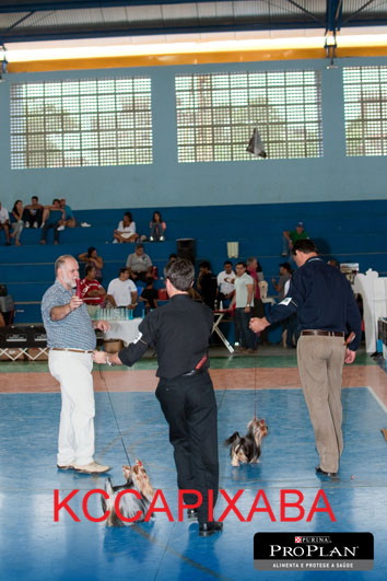 Clique sobre a foto para fechar